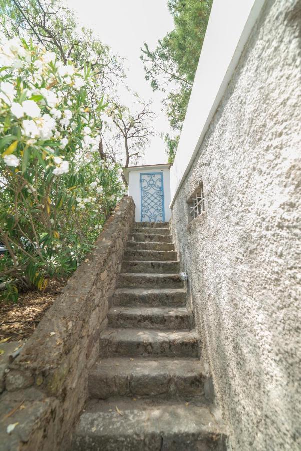 Panorama Hotel Bodrum Göltürkbükü Exterior foto