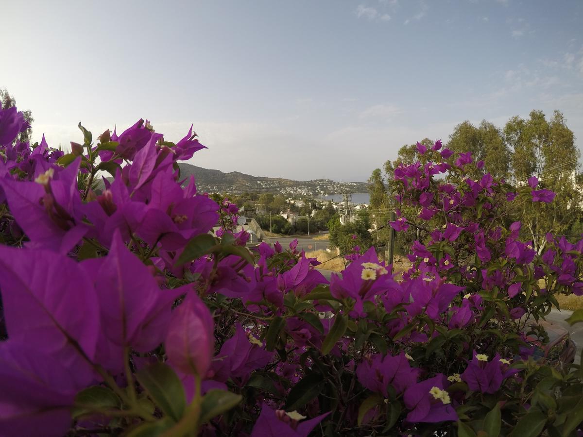 Panorama Hotel Bodrum Göltürkbükü Exterior foto